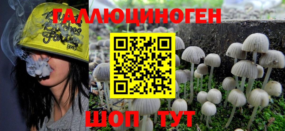 Галлюциногенные грибы GOLDEN TEACHER Грозный