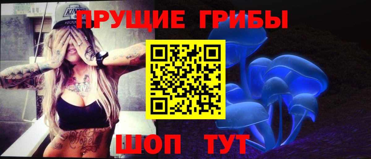Псилоцибиновые грибы MAGIC MUSHROOMS  Вход с VPN  закладка  Галлюциногенные грибы ЛСД  Грозный 